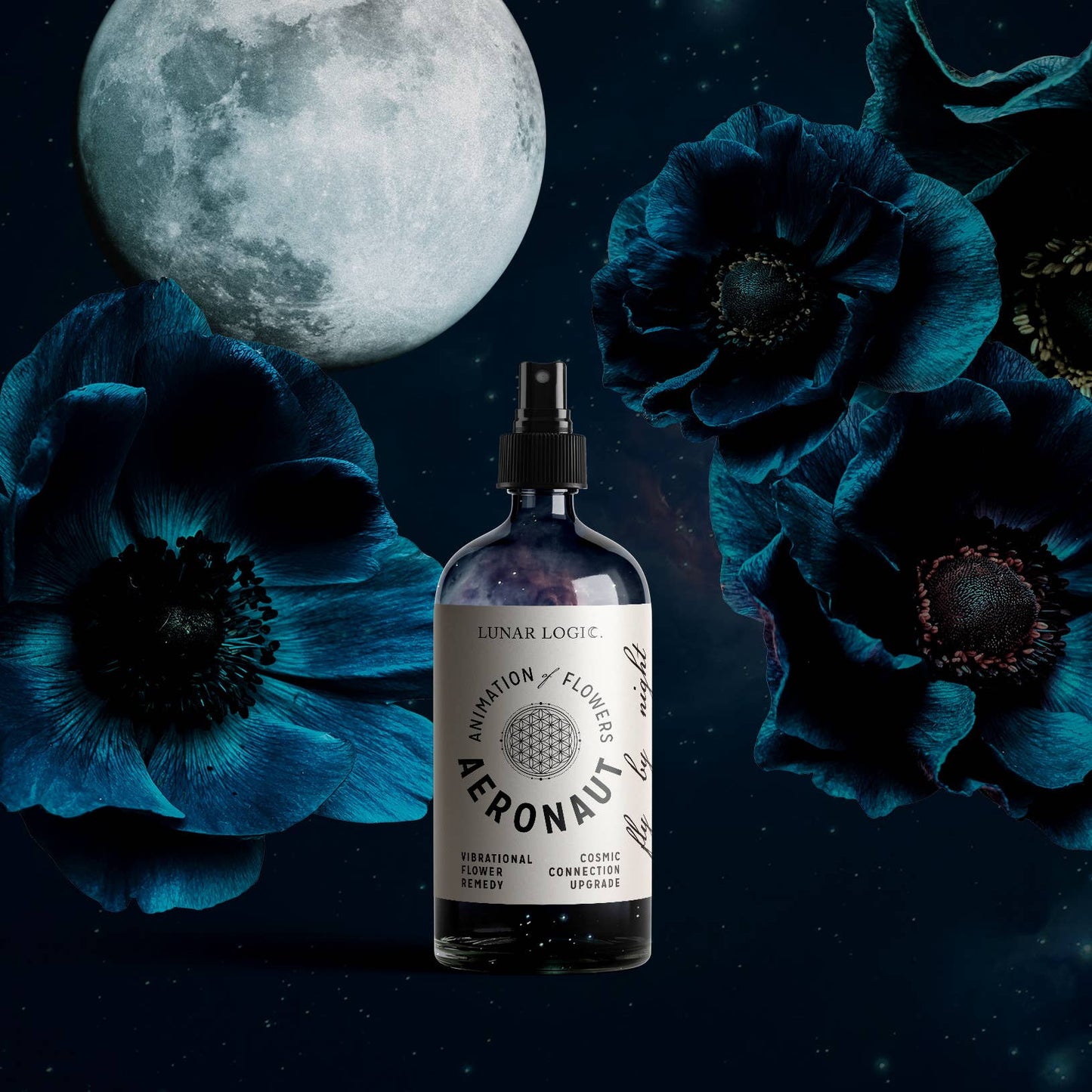 AERONAUT / Flower Remedy for Cosmic Connection