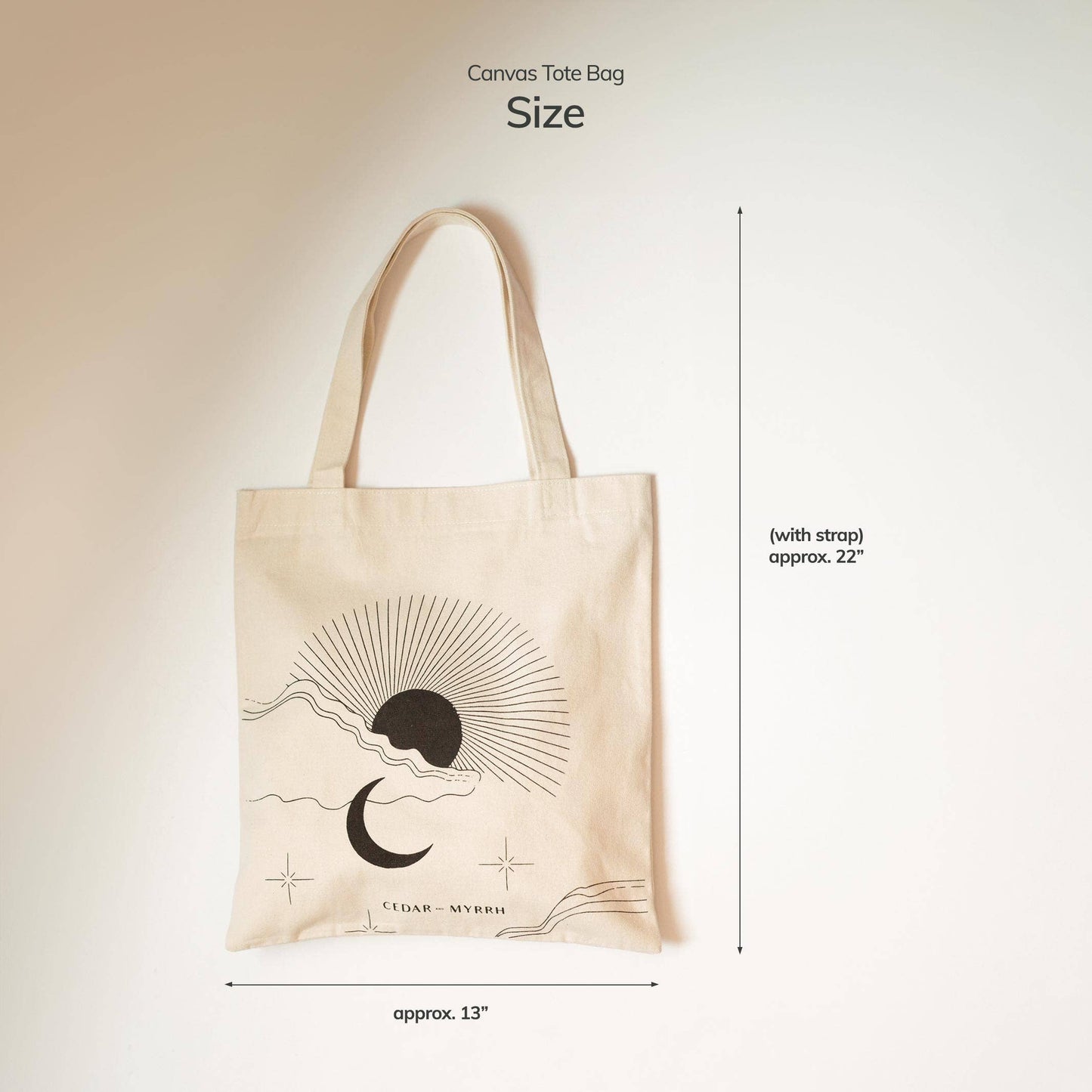 RESET Canvas Tote Bag