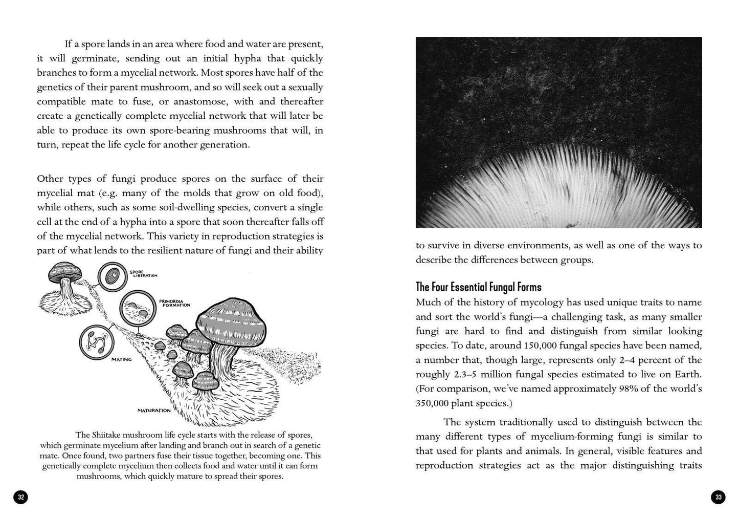 Mycocultural Revolution: Transforming Our World with Fungi