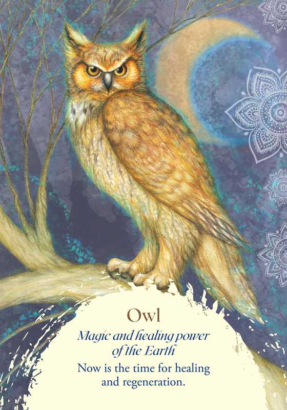 Oracle of the Birds by Jeanne Ruland: Flashcards; 112 pages / English