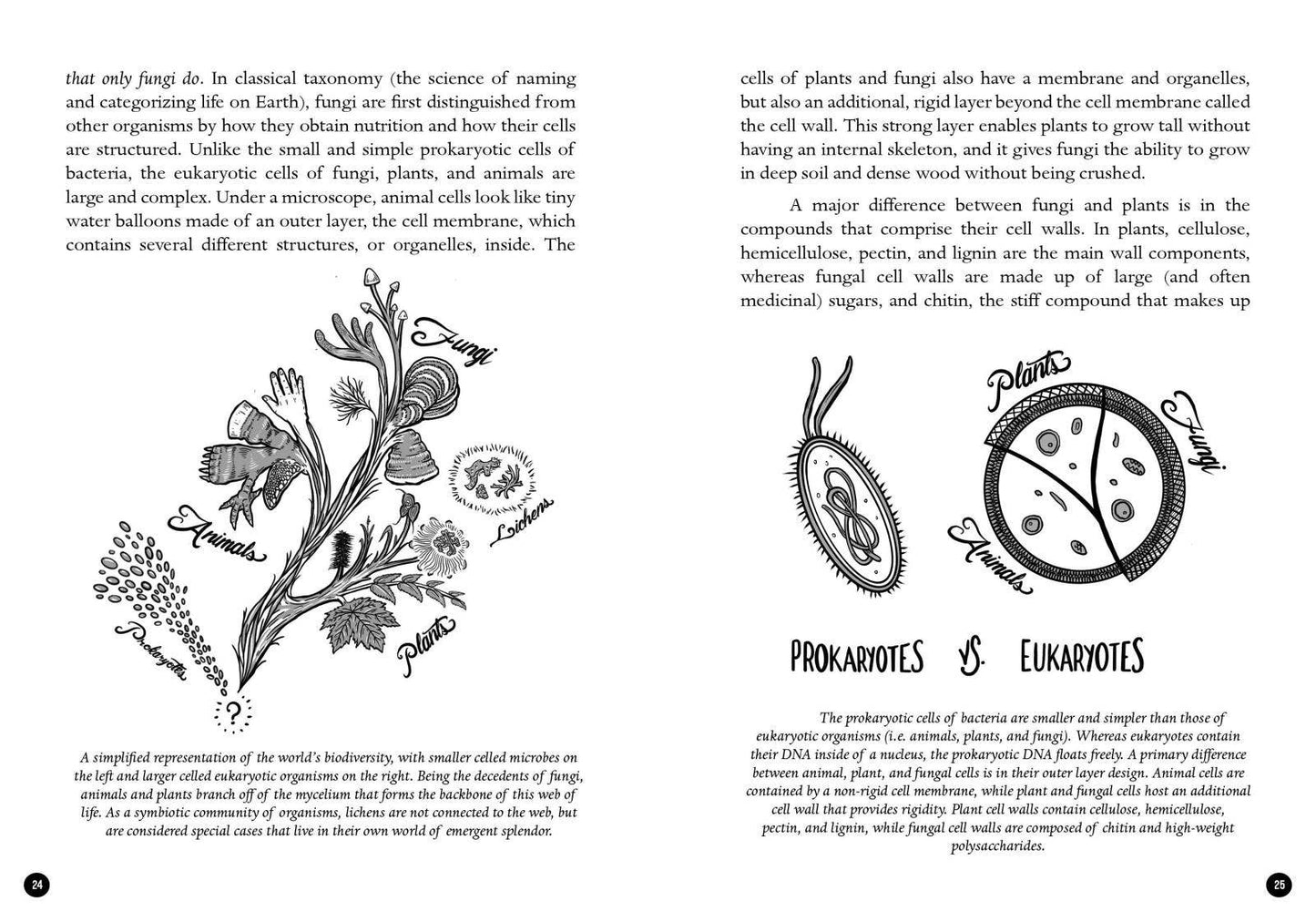 Mycocultural Revolution: Transforming Our World with Fungi