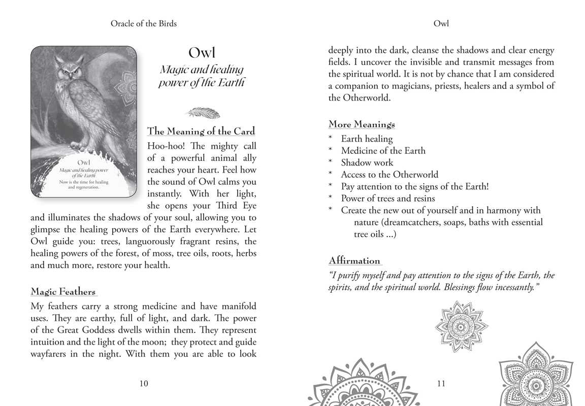 Oracle of the Birds by Jeanne Ruland: Flashcards; 112 pages / English