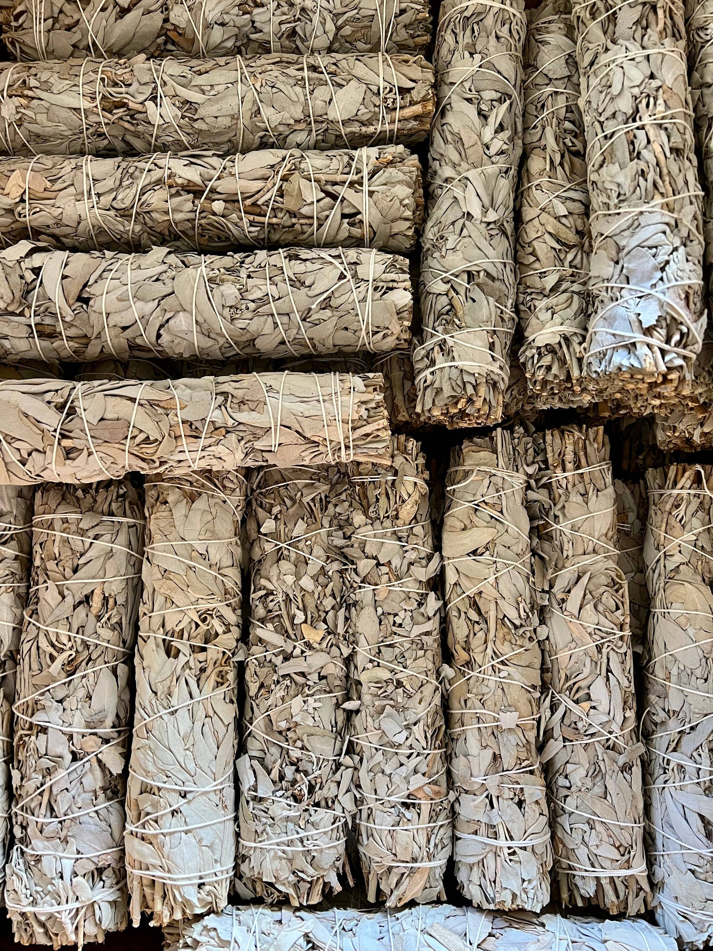 9 inch White Sage Bundles (Large) from Farm in California