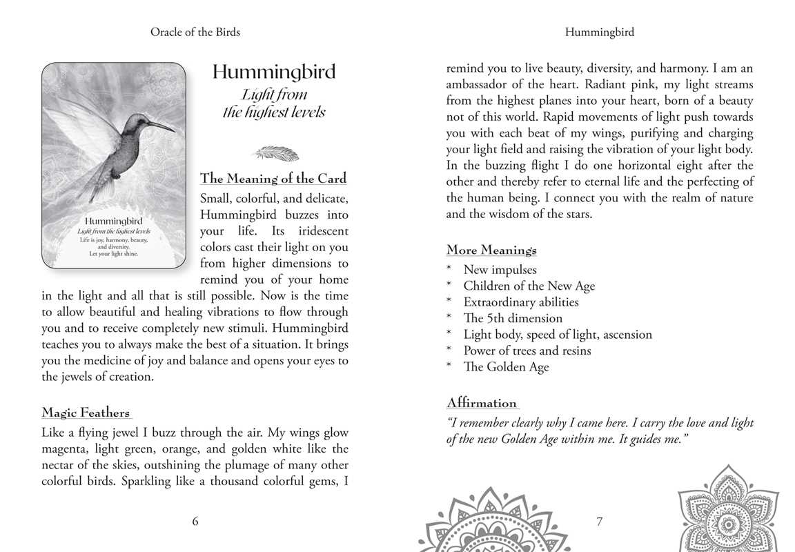 Oracle of the Birds by Jeanne Ruland: Flashcards; 112 pages / English