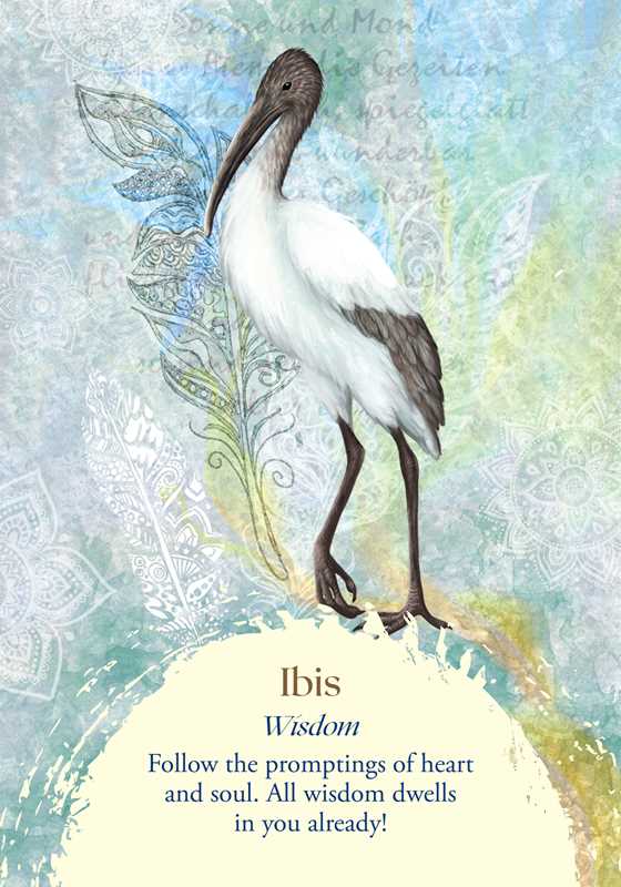 Oracle of the Birds by Jeanne Ruland: Flashcards; 112 pages / English