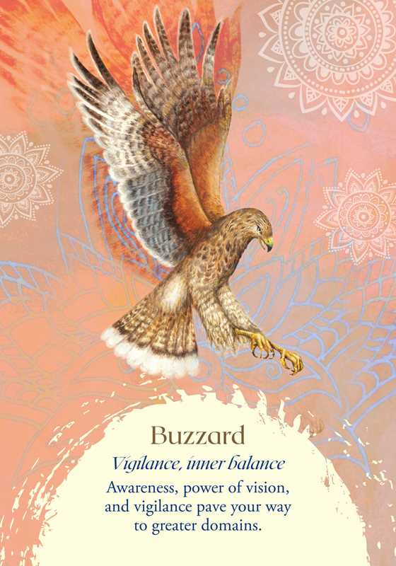 Oracle of the Birds by Jeanne Ruland: Flashcards; 112 pages / English