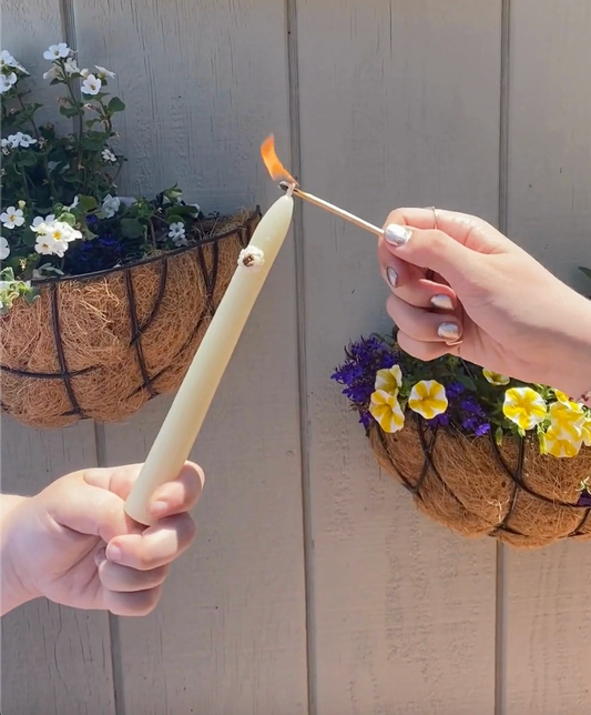 'Soul' Beeswax Taper Candles