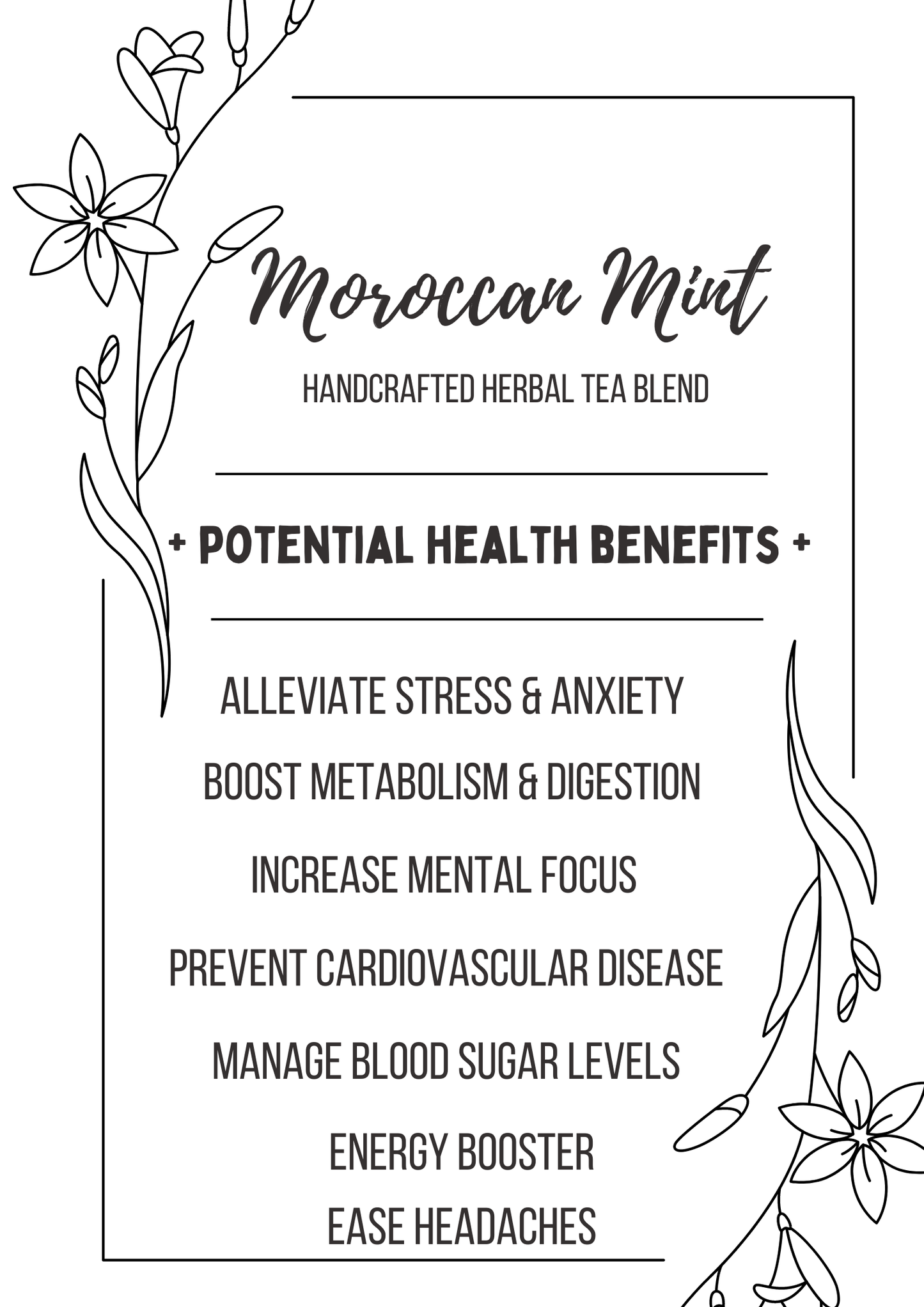 MOROCCAN MINT Handcrafted Herbal Tea Blend